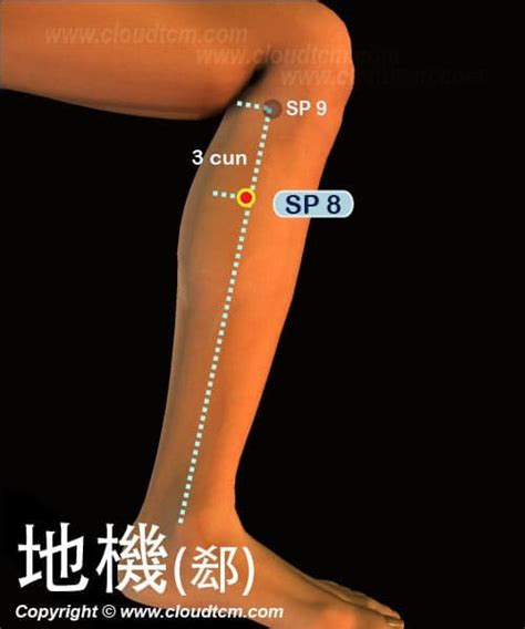 地根穴|地機穴可改善腹痛腹脹胃痛,食慾不振